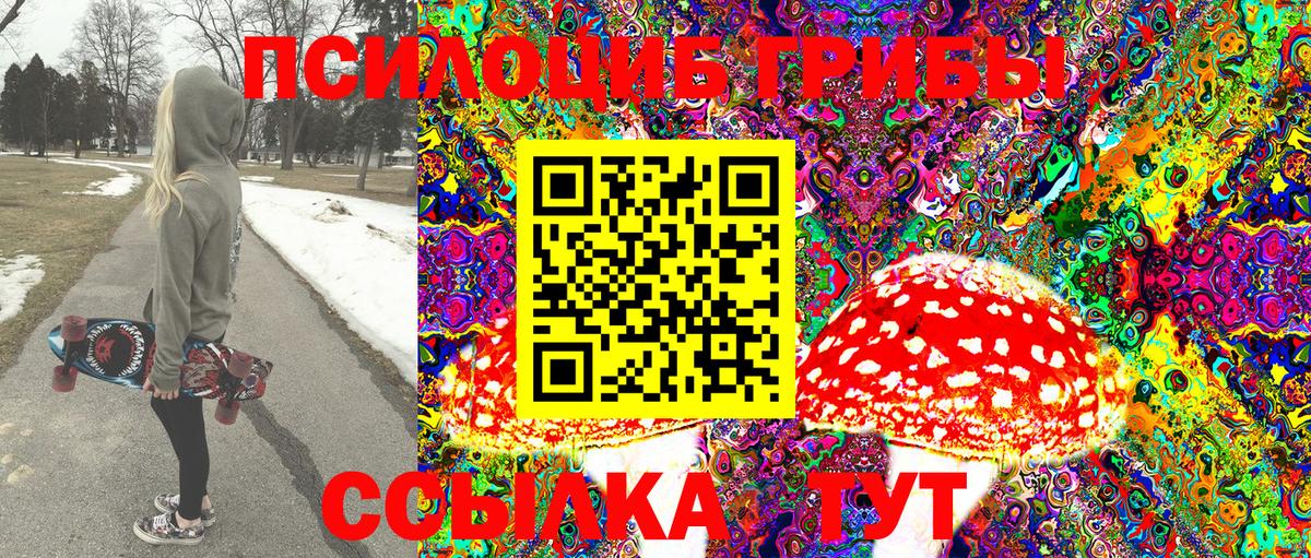 Галлюциногенные грибы Cubensis Заволжье