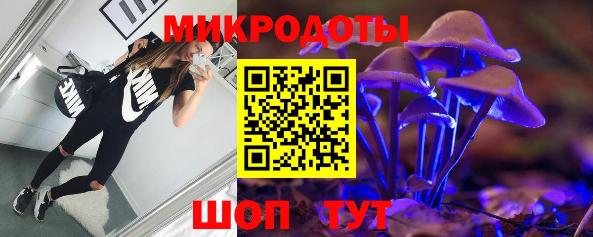 Галлюциногенные грибы GOLDEN TEACHER  Вход с VPN  Галлюциногенные грибы Cubensis  Заволжье 