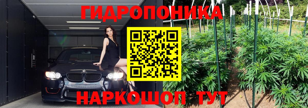 Заволжье  Канабис SATIVA & INDICA  Бошки марихуана AK-47  Вход с VPN  Конопля THC 21% 